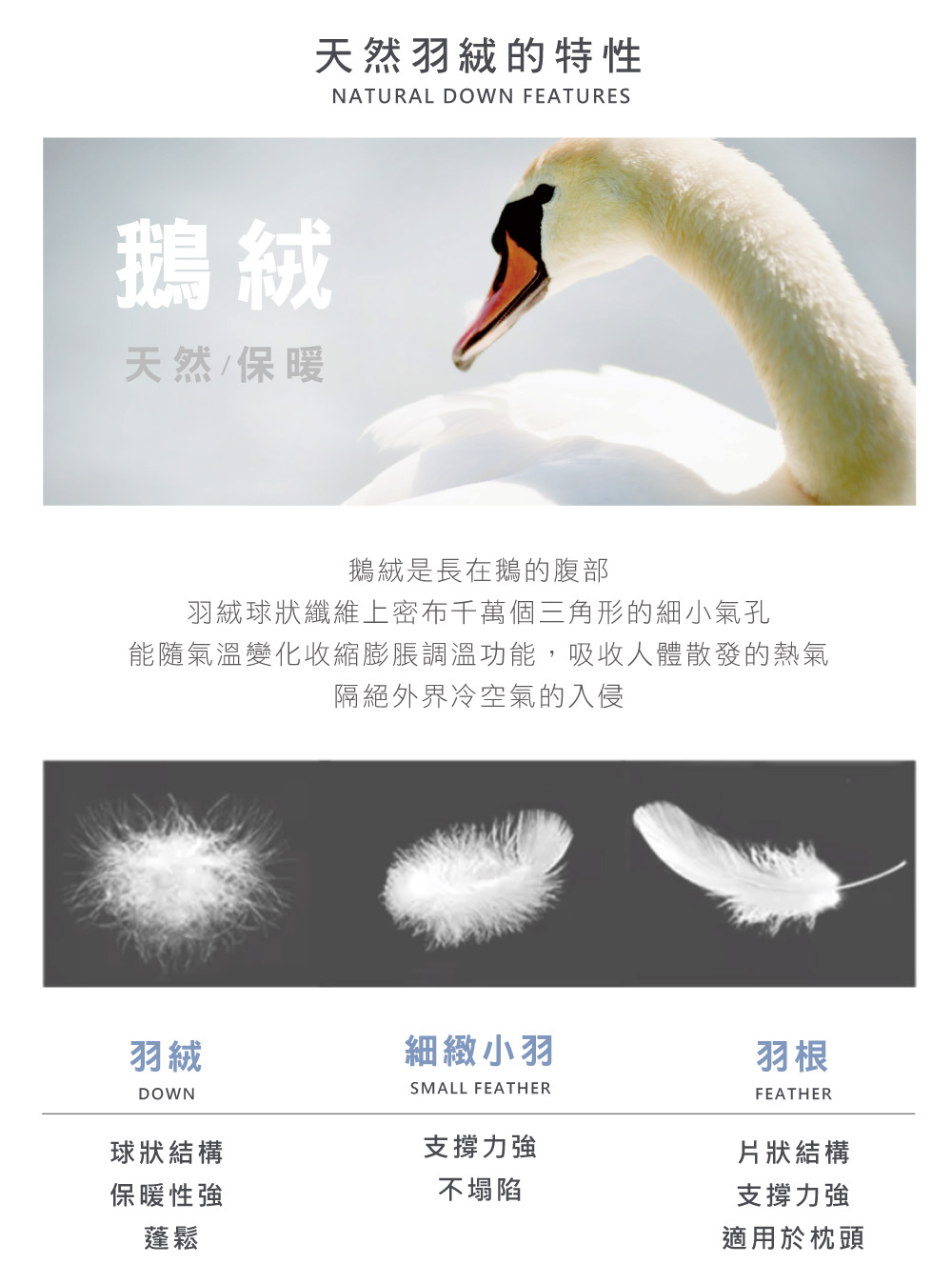 羽絨被,La Belle,冬被