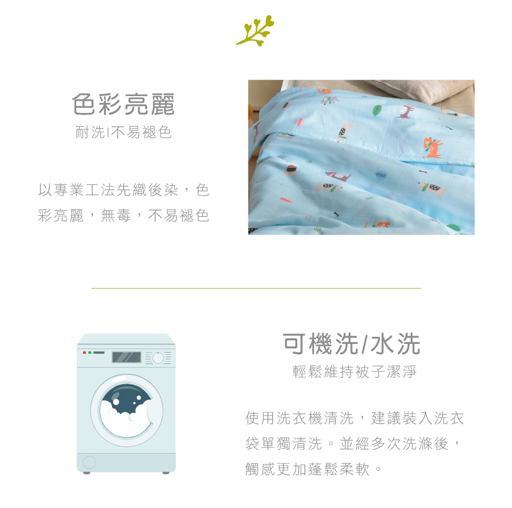 新疆棉,Fancy Belle