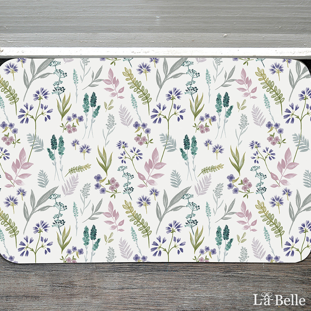 義大利La Belle《芳草菲菲》抗菌可水洗軟式珪藻土強效吸水地墊 60*39CM