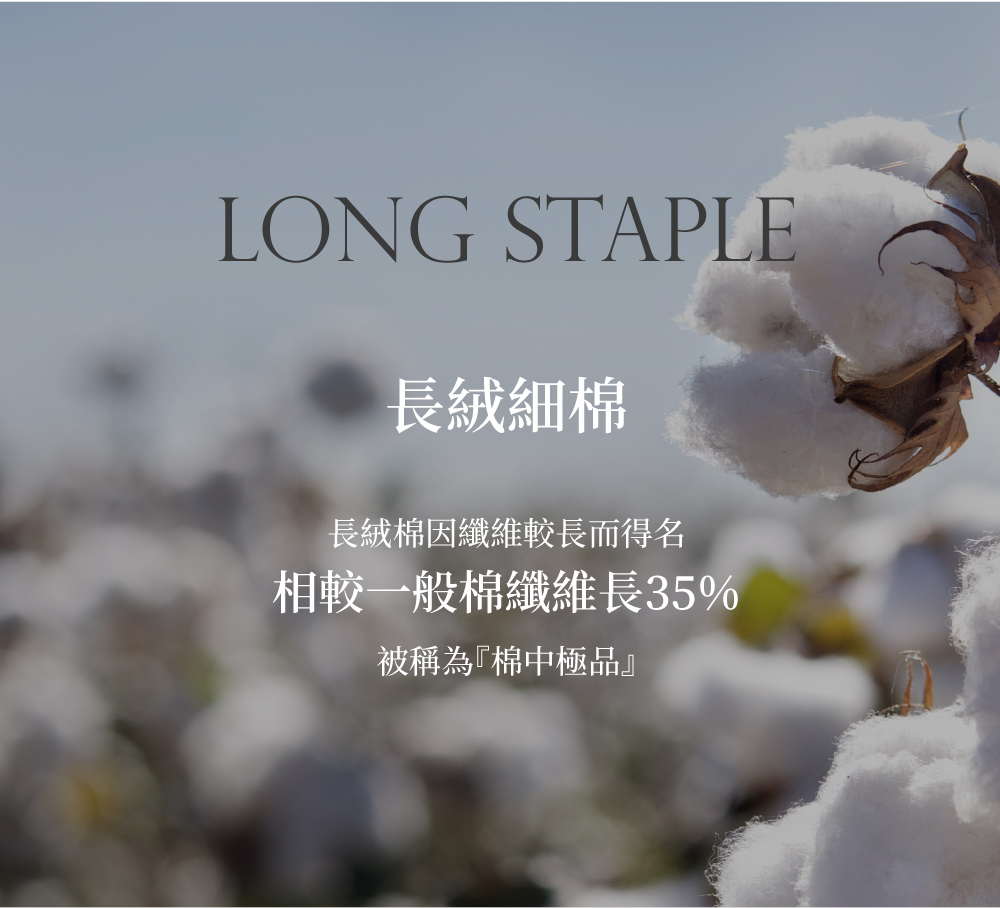 長絨細棉,Labelle