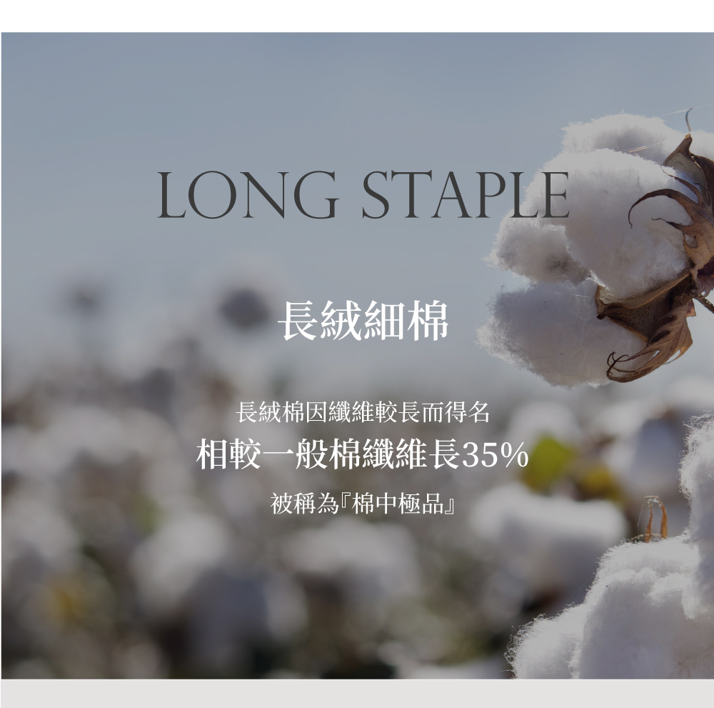 長絨細棉,Labelle