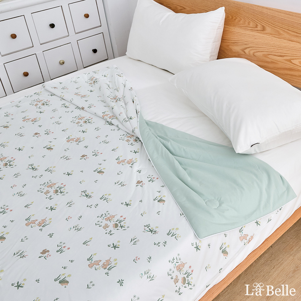 義大利La Belle《仙子物語》冰棉被 針織抗菌吸濕排汗涼感被5*6.5尺