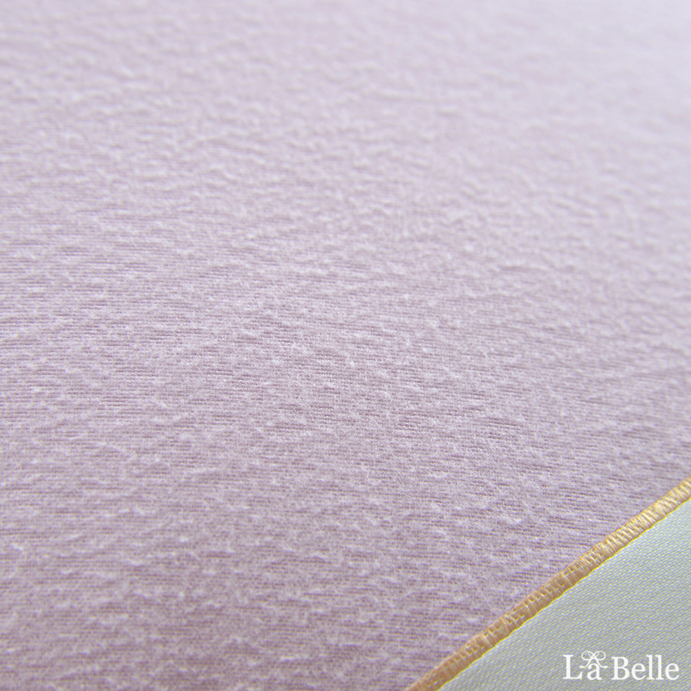 義大利La Belle《日本防蹣抗菌可水洗馬卡龍親子枕》夢幻藍X甜心紫
