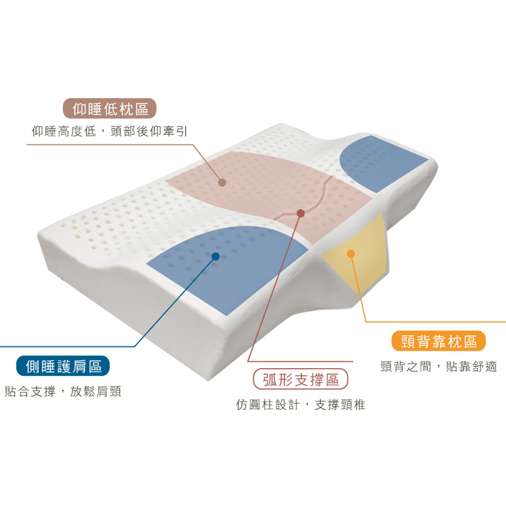 義大利La Belle《人體工學蝶型曲線支撐型乳膠枕》