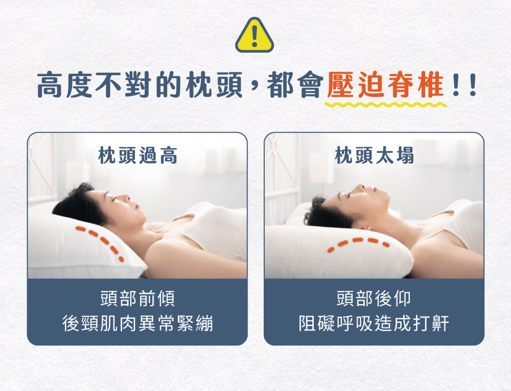 記憶枕,Labelle