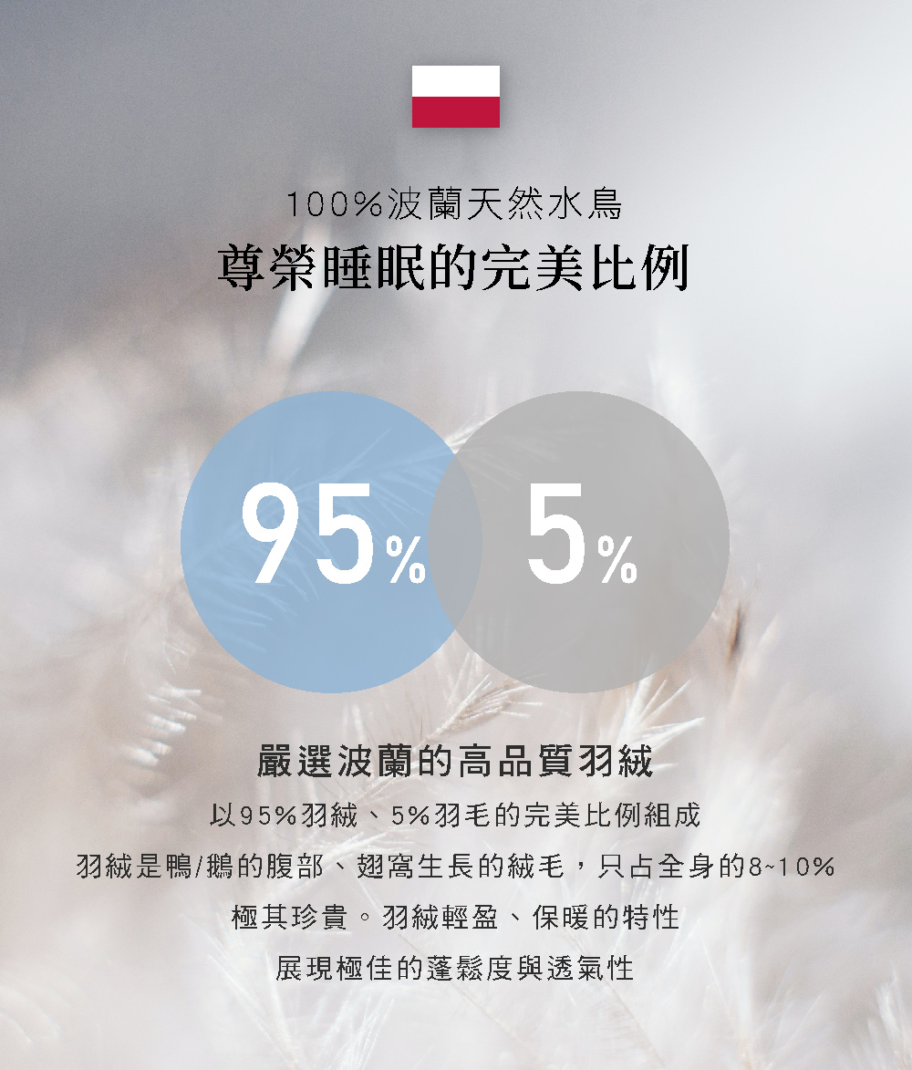 枕頭,羽絲絨