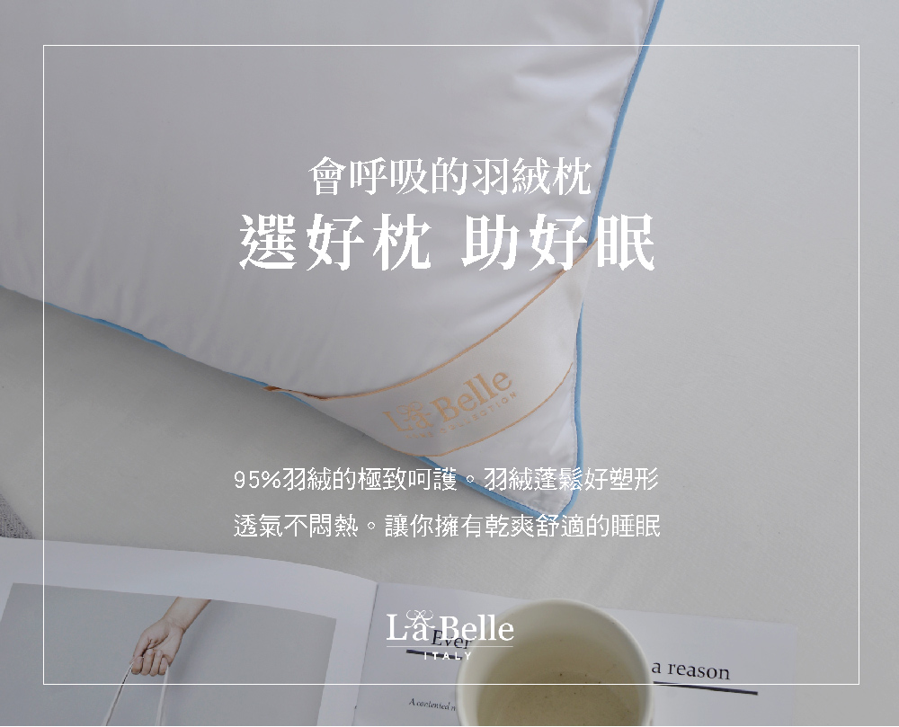 枕頭,羽絲絨