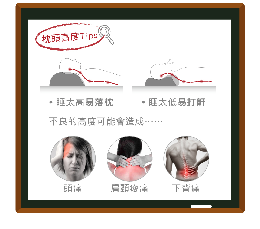 枕頭,羽絨