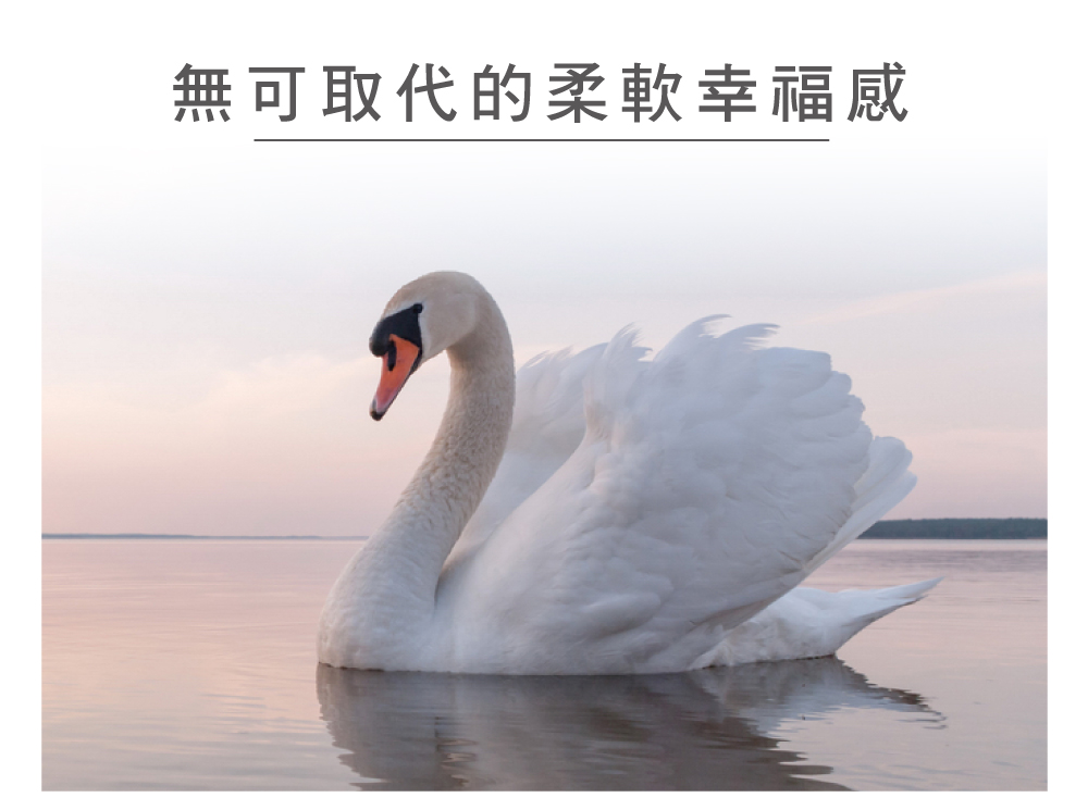 枕頭,羽絨