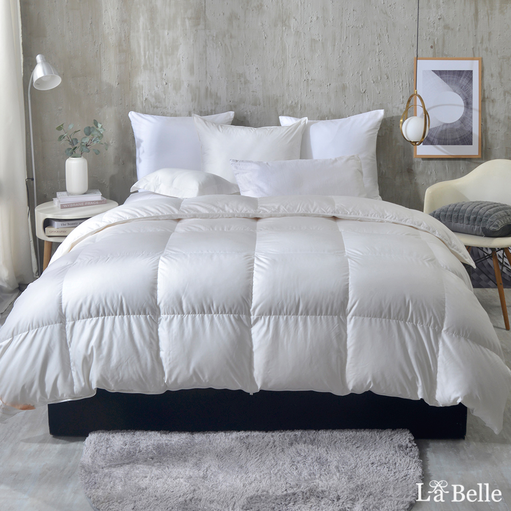 義大利La Belle《遠紅外線水鳥羽毛絨暖冬被》--雙人