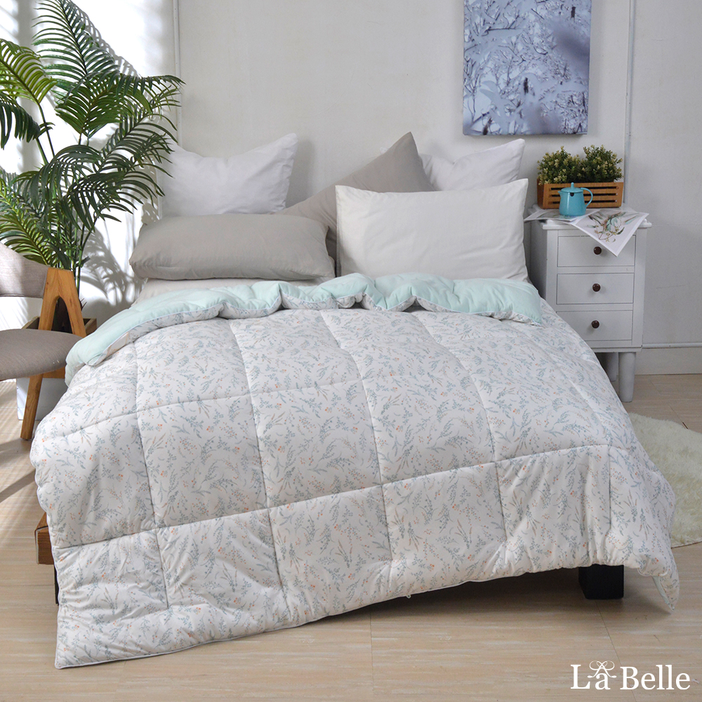 義大利La Belle《小花甜釀》韓式抑菌暖膚絨石墨烯發熱可水洗冬被--雙人