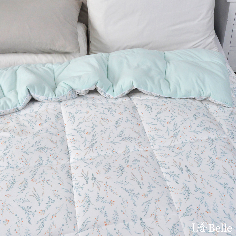 義大利La Belle《小花甜釀》韓式抑菌暖膚絨石墨烯發熱可水洗冬被--雙人