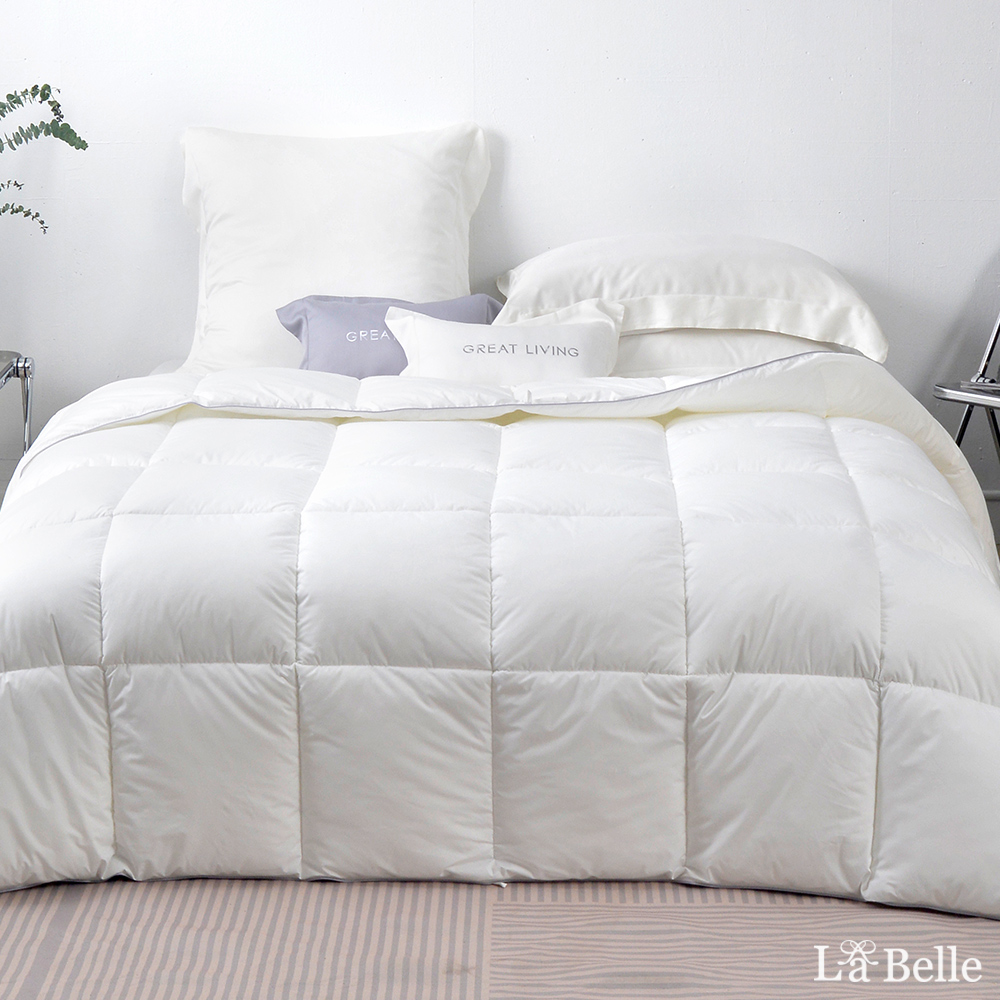 義大利La Belle《可水洗極地保暖賽羽絨冬被》--特大