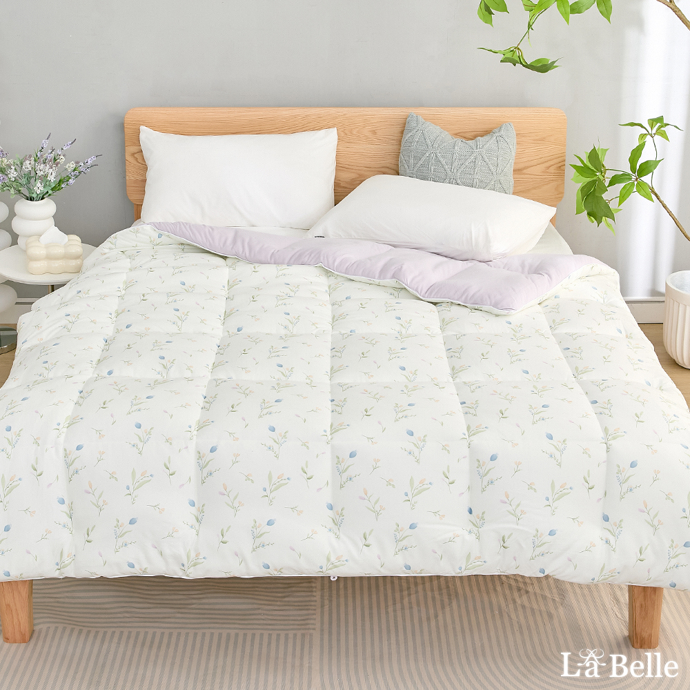 (預購)義大利La Belle《鬱金奶蓋》韓式抑菌暖膚絨石墨烯發熱可水洗冬被--雙人