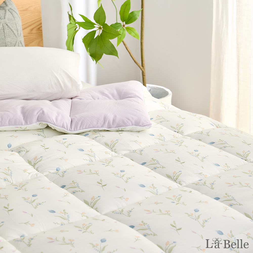 (預購)義大利La Belle《鬱金奶蓋》韓式抑菌暖膚絨石墨烯發熱可水洗冬被--雙人