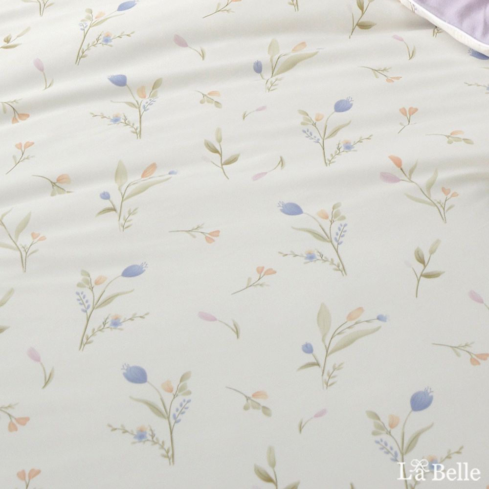 義大利La Belle《鬱金奶蓋》活性益生菌抗敏365天懶懶被--180*200cm